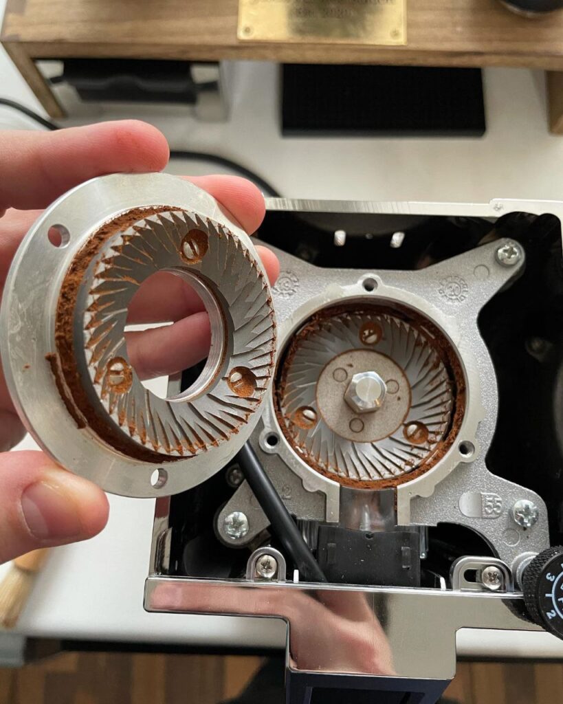 eureka magnon specialita review